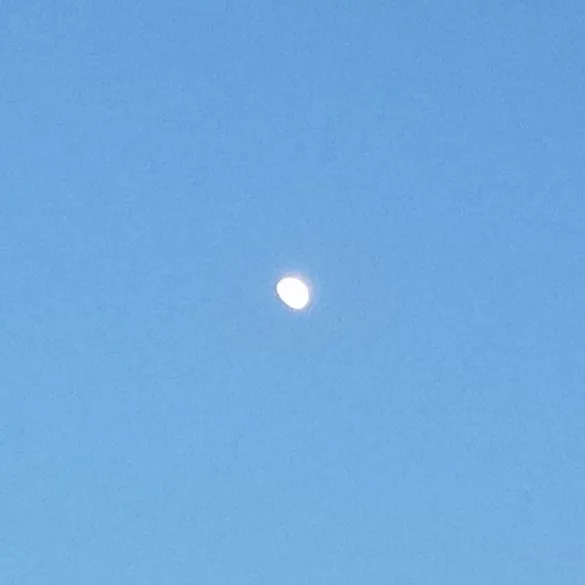 The Moon: So Far and Yet So Near