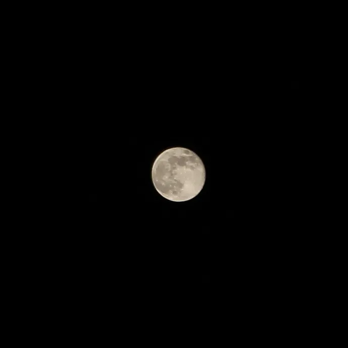 Nearly Full Moon, Waning – April 2017
