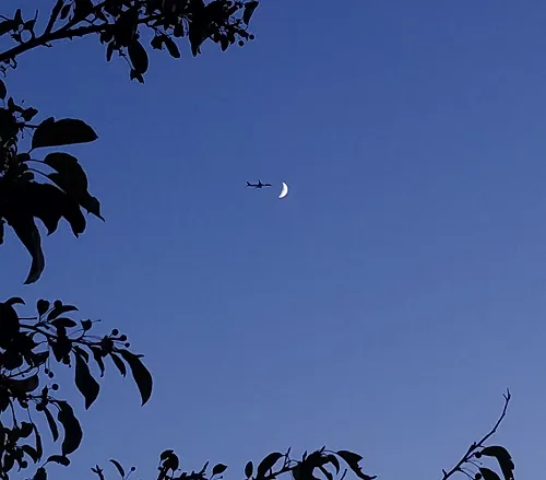 The Moon and a Plane