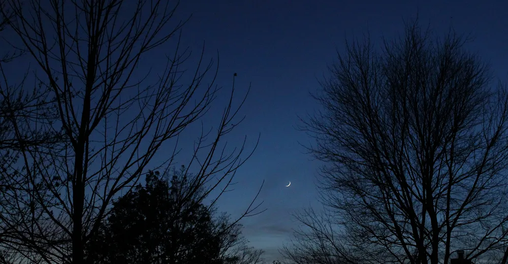 What’s So Odd About a Young Moon in Late Fall?