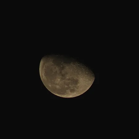 Night Owl Moon
