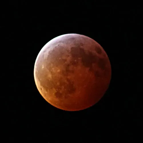 Weather Reports from the 2019 Lunar Eclipse