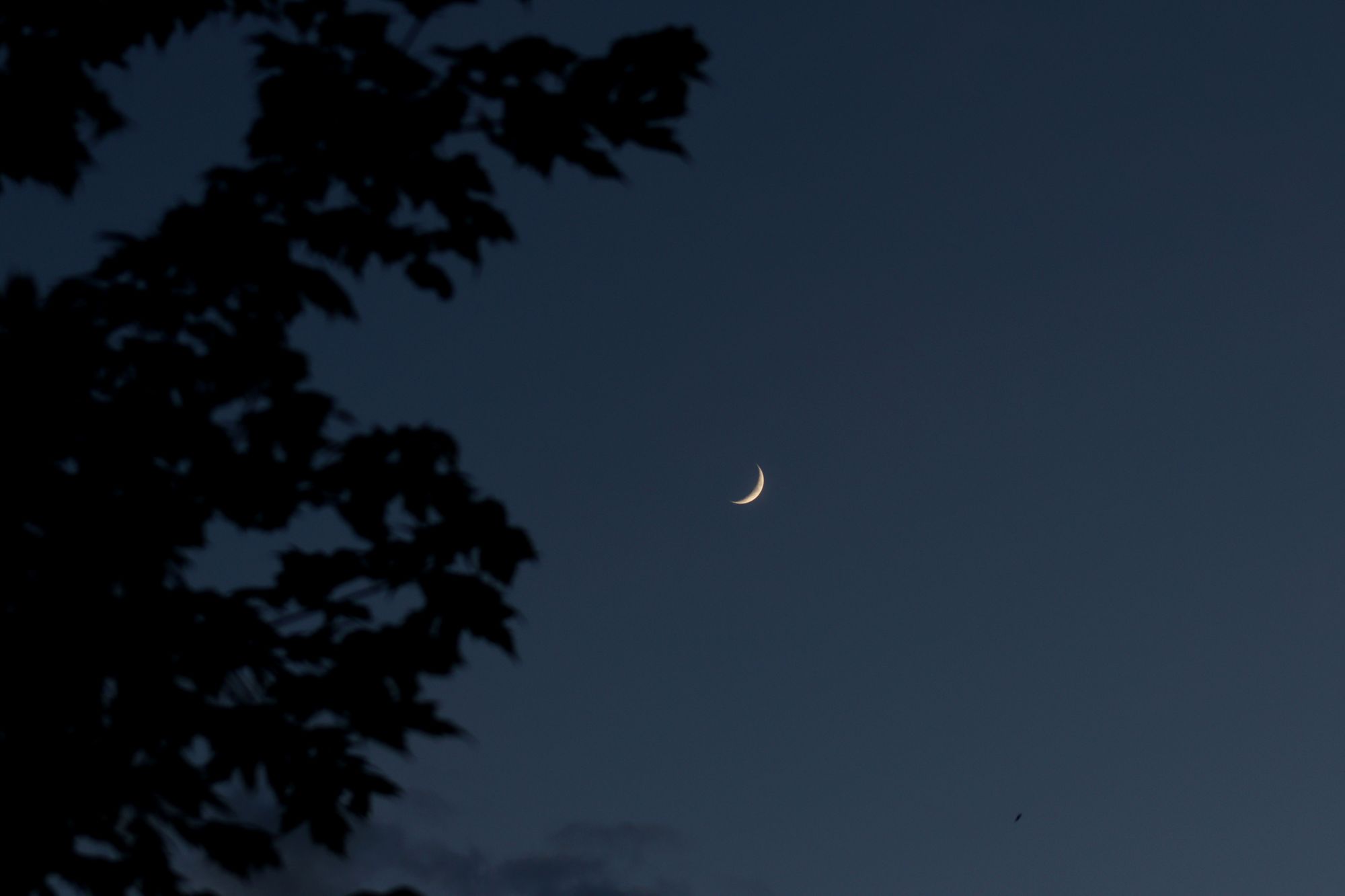 Clouds vs. Early Crescent Moon